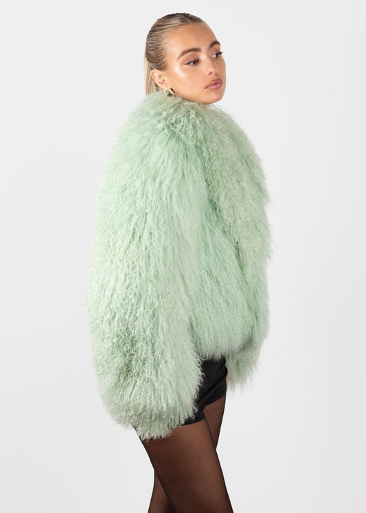 Ski Trip Outfit Inspiration: Soft Colour Statements with a Mint Green Mongolian Fur Coat